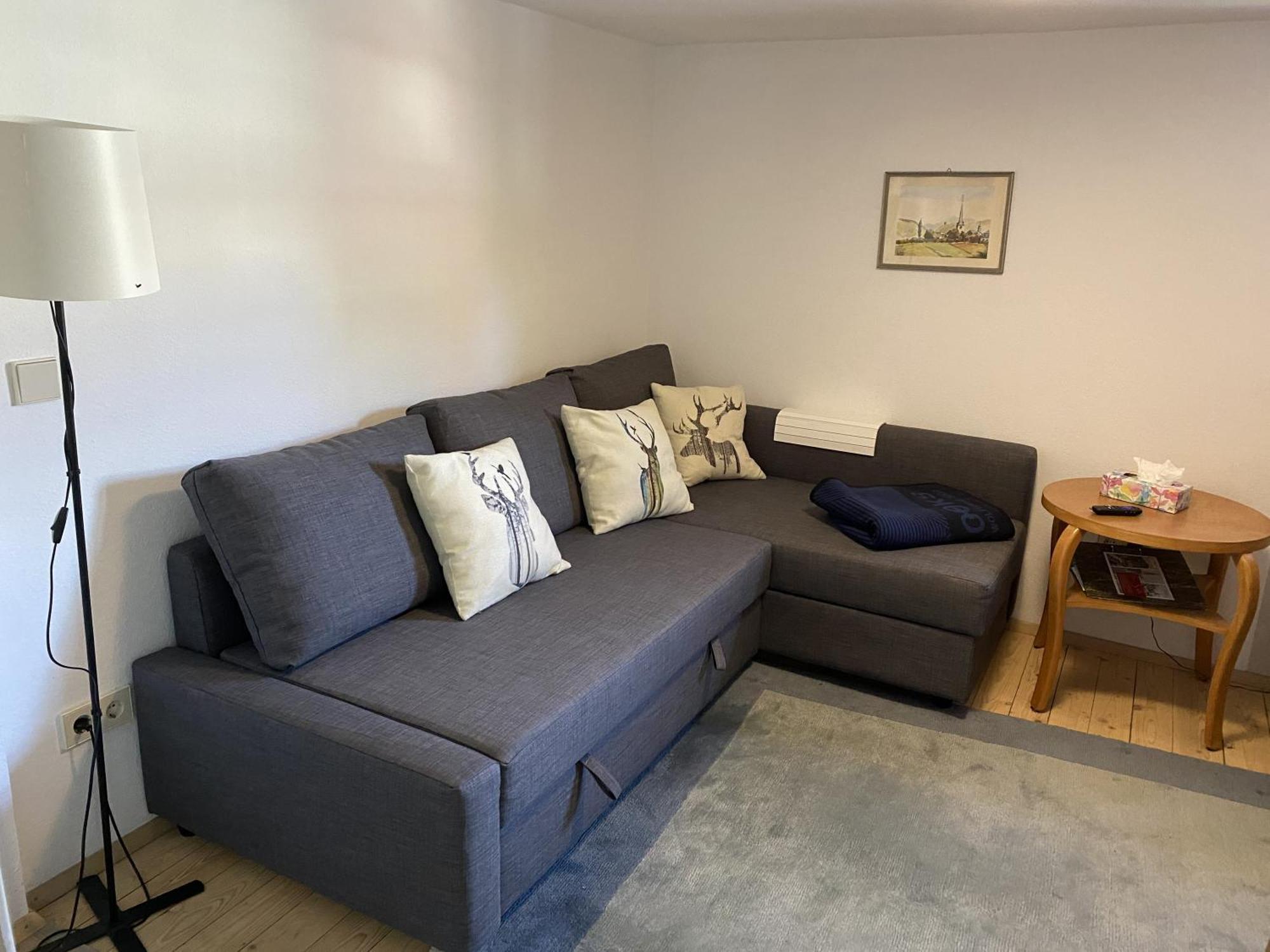Ferienwohnung Sester Gengenbach Exteriér fotografie