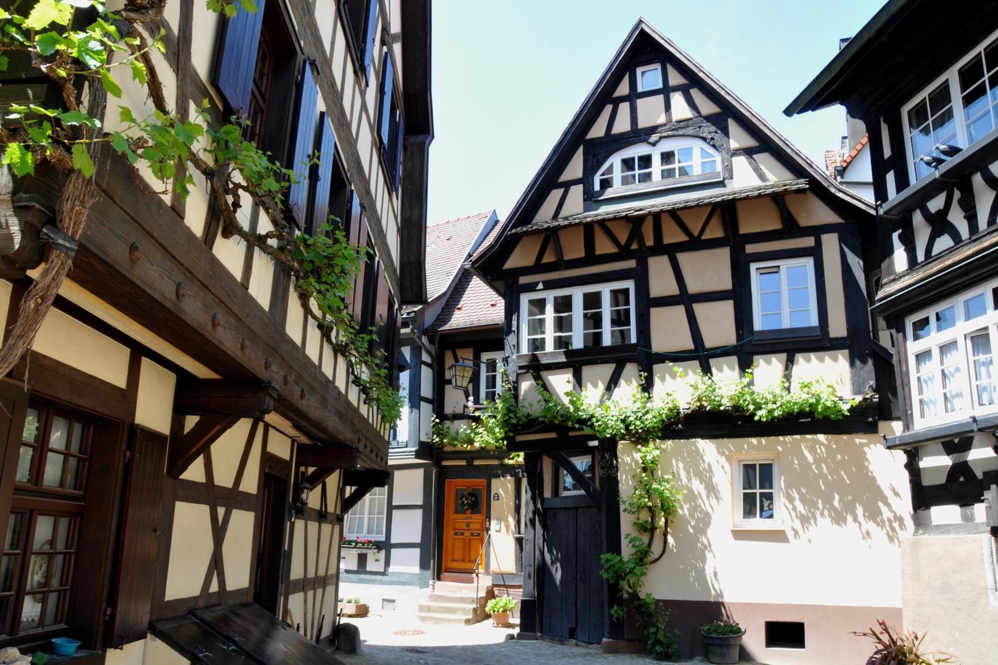 Ferienwohnung Sester Gengenbach Exteriér fotografie