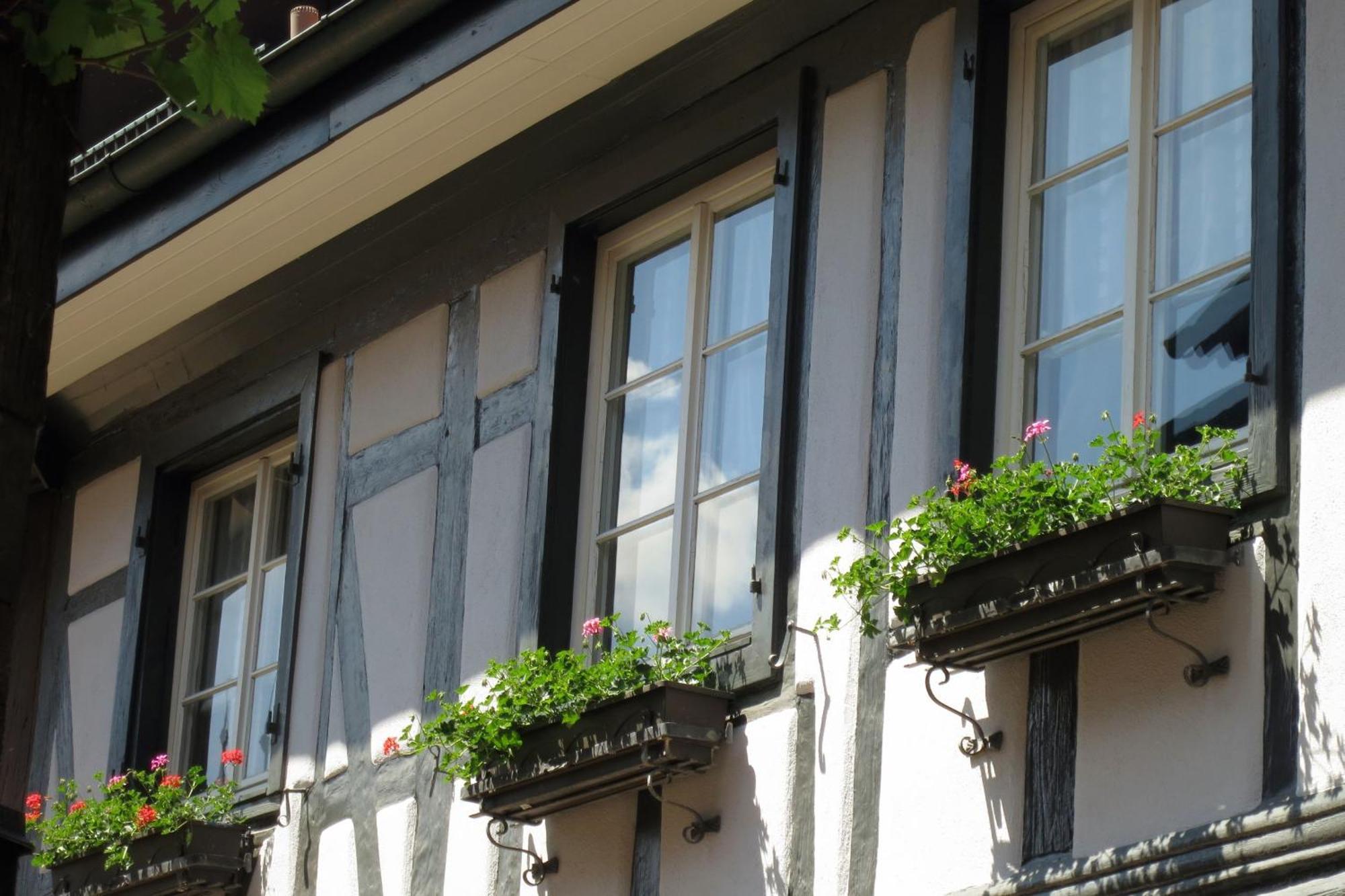 Ferienwohnung Sester Gengenbach Exteriér fotografie