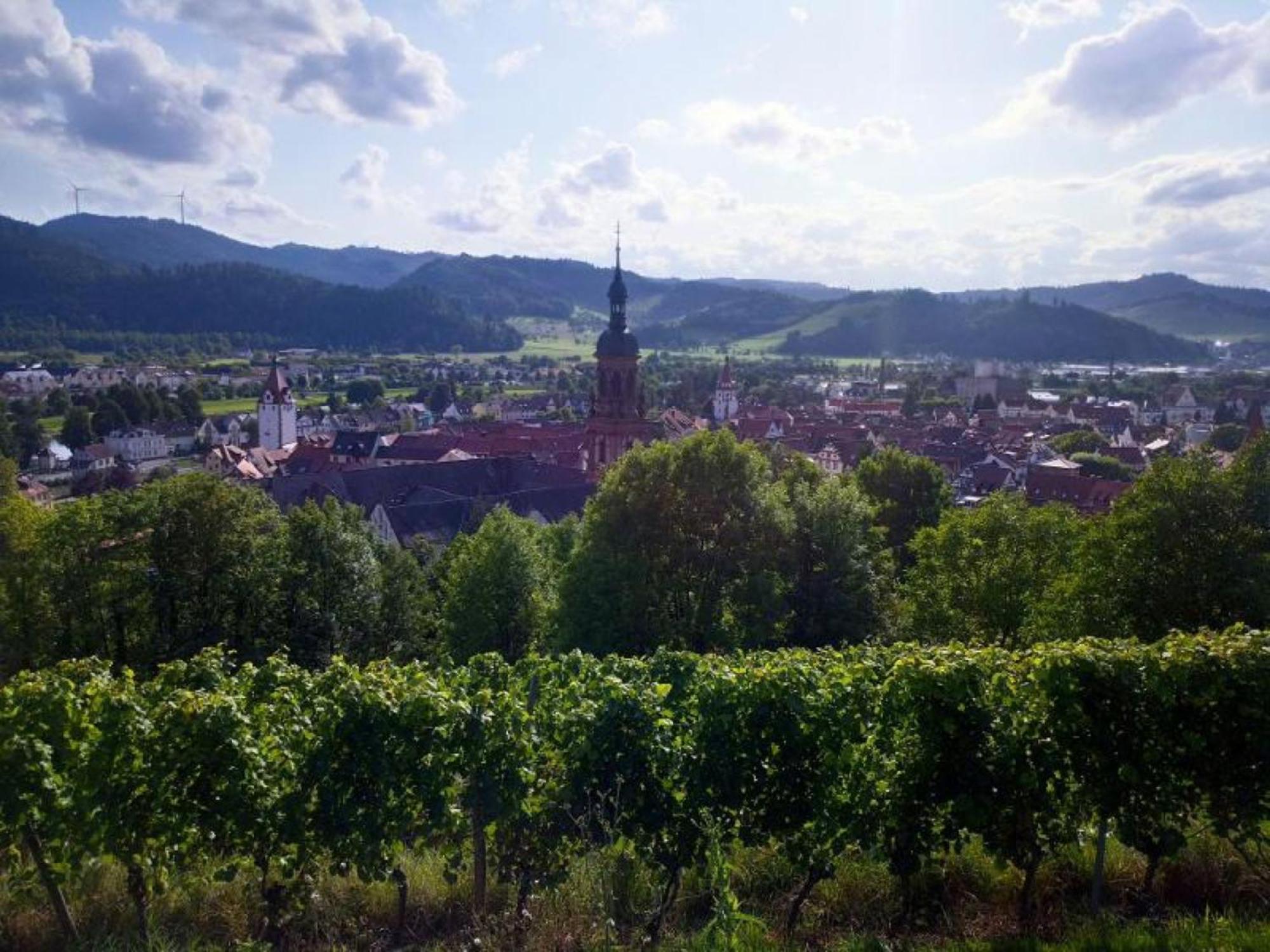Ferienwohnung Sester Gengenbach Exteriér fotografie
